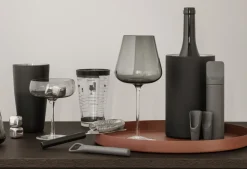 Bath & Living Blomus BELO coupe champagne glasses (set/2) 64278