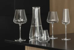 Bath & Living Blomus BELO drinking glasses (set/6) 64399