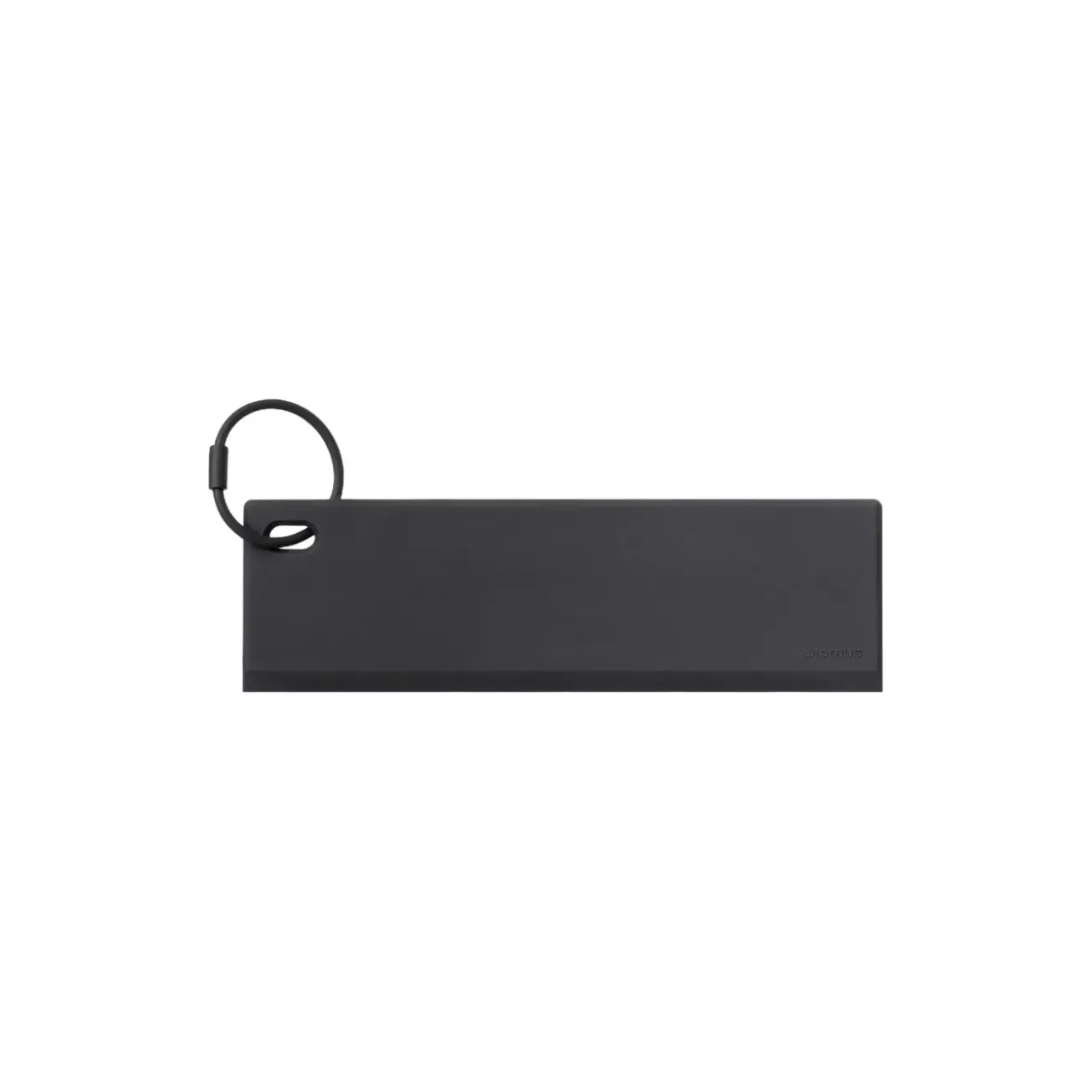 Bath & Living Blomus Blomus FLIT shower wiper
