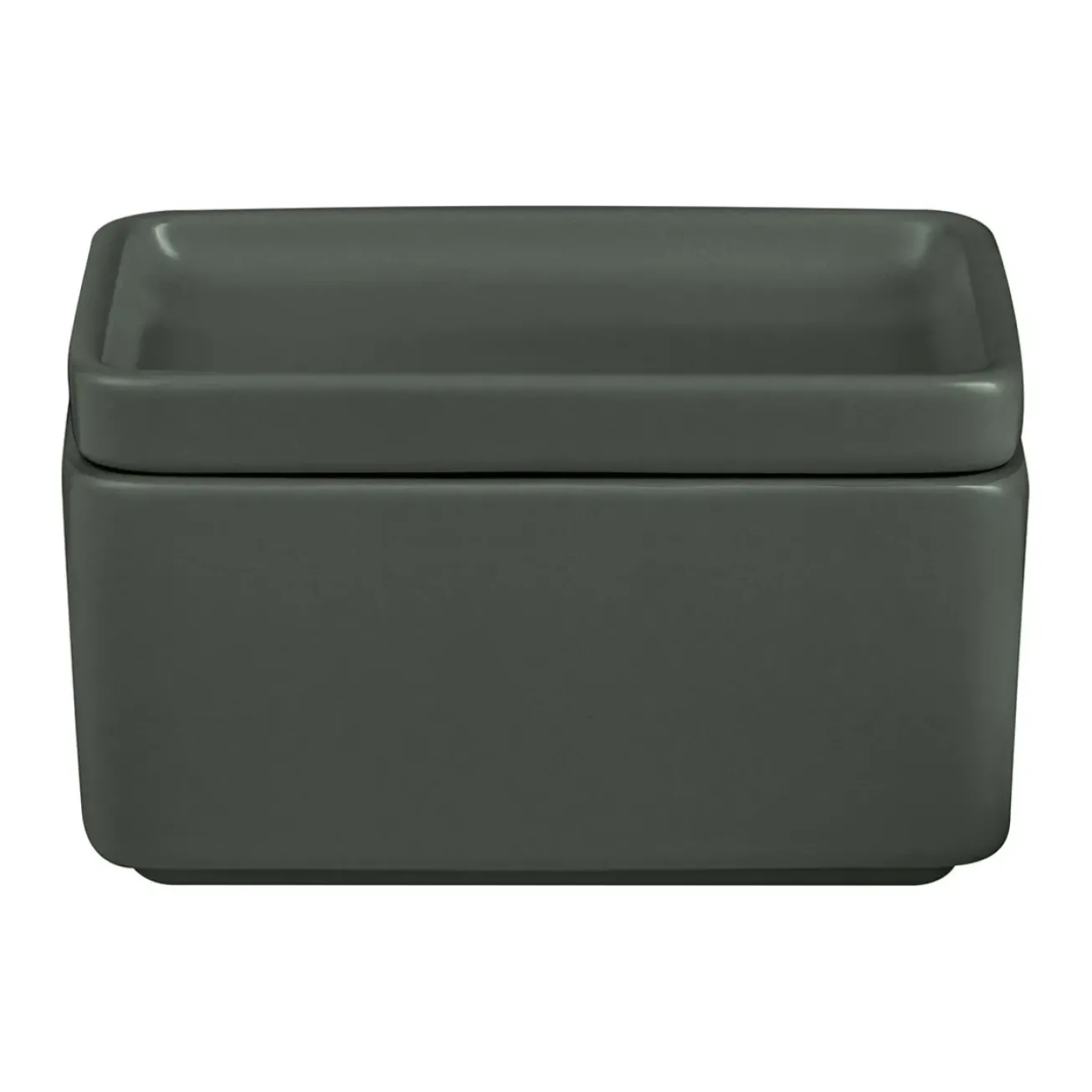 Bath & Living Blomus PILAR butter dish color Agave Green (64368)