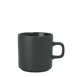 Bath & Living Blomus PILAR mug 250 ml Agave green set/4 (63713)
