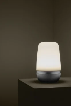 Bath & Living Blomus SPIRIT outdoor lamp Warm Gray (medium) 66061