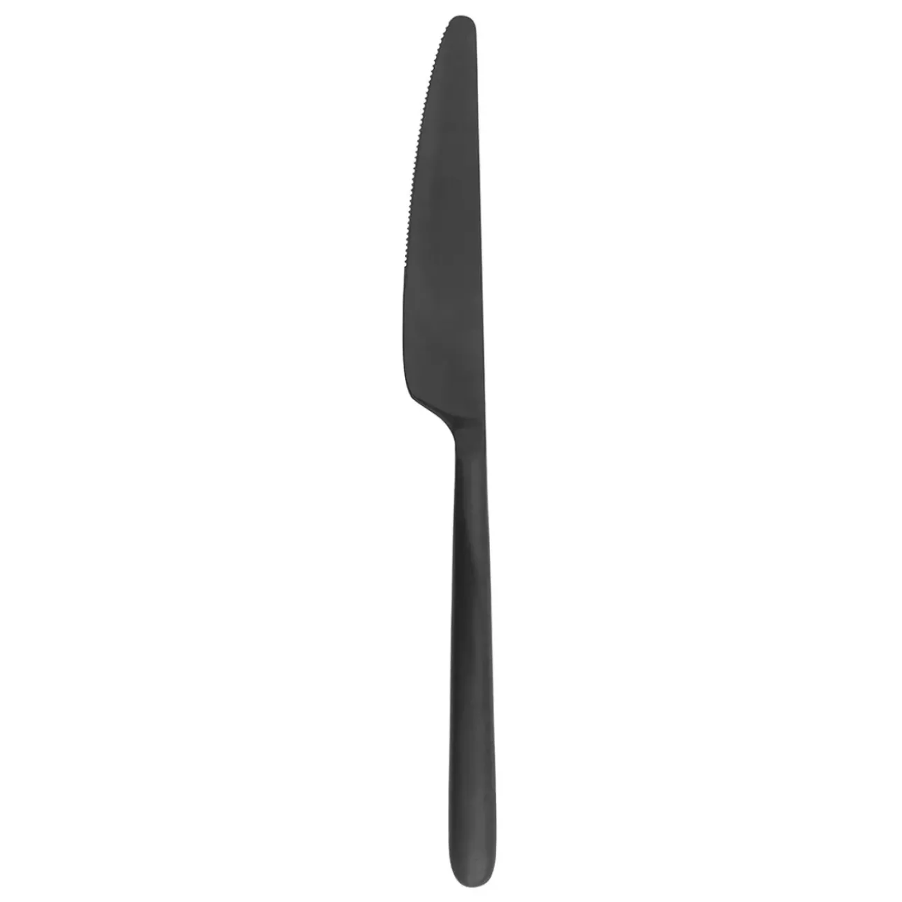 Bath & Living Blomus STELLA cutlery set 16-piece color - 64195