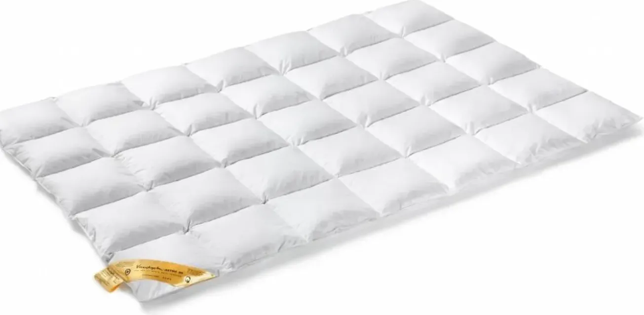 Bath & Living Vandyck Duvet 90% down ASTRO solo (BE001 510)