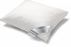 Bath & Living Vandyck Premium pillow BOX SHORT FIBER (refillable / washable) BEPR8110 561