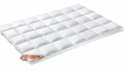 Bath & Living Vandyck Quilt 95% down EXCELLENT solo 450 (BE004 501)