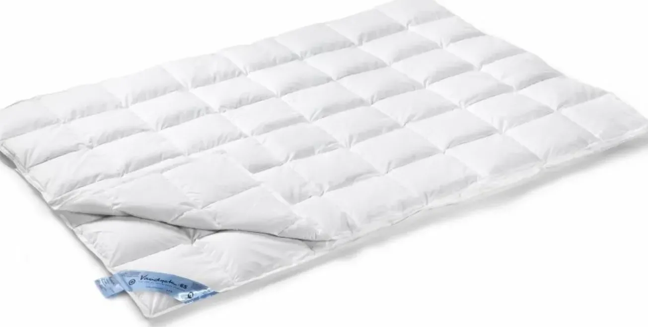 Bath & Living Vandyck 4-season duvet 65% down VANDYCK duo (BE015 621)