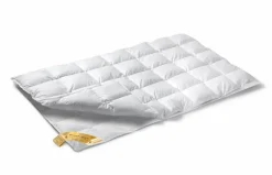 Bath & Living Vandyck 4-season duvet 90% down ASTRO Duo (BE001 511)